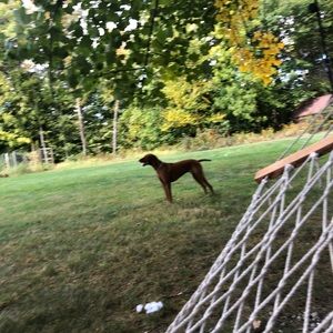 Meet your Posher, Brady